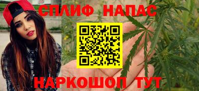 МДПВ Кингисепп