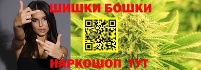 МДПВ Кингисепп