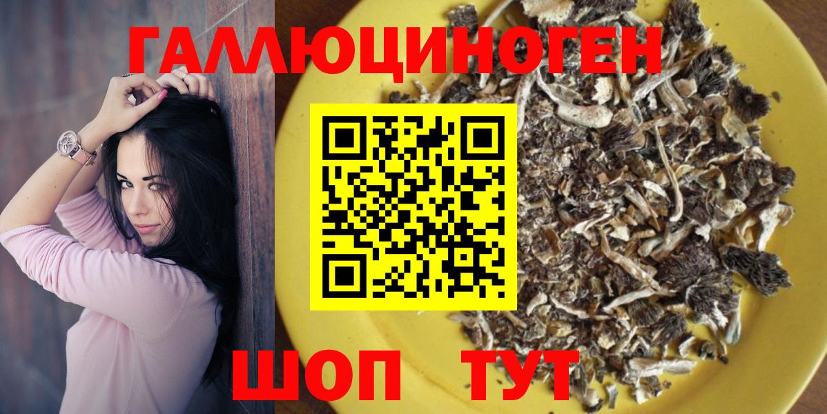 Галлюциногенные грибы Psilocybine cubensis  Псилоцибиновые грибы MAGIC MUSHROOMS  Вход с VPN  Ленинск-Кузнецкий 